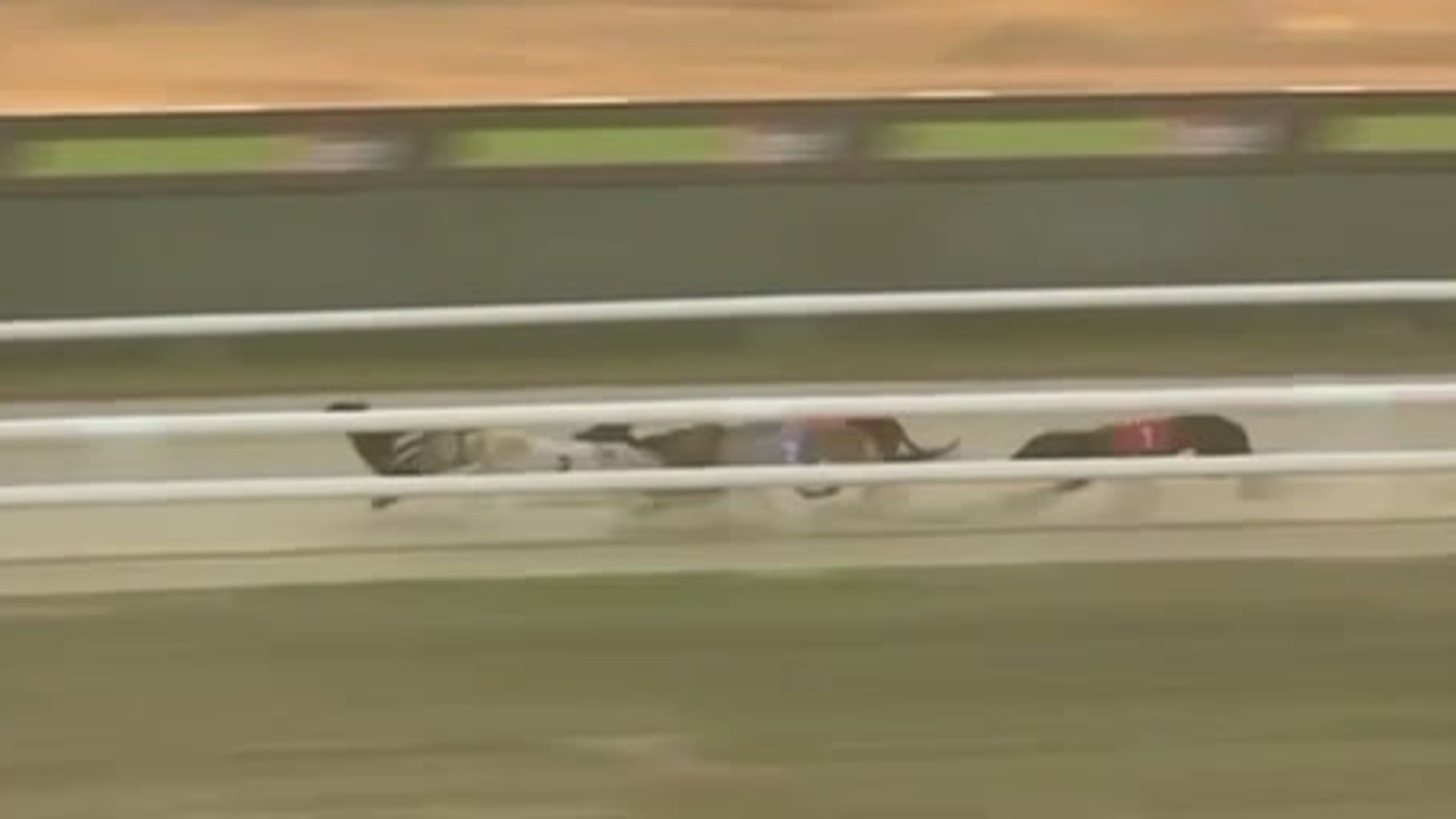 Turnthemagicon Bolts up to take the £2k Dash Final 24.7.26